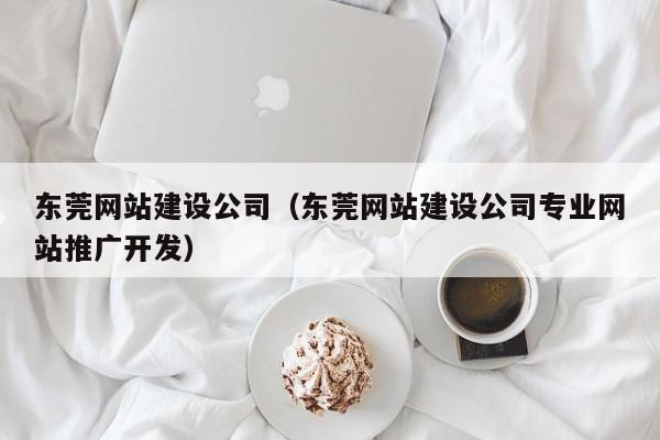 东莞网站建设公司(东莞网站建设公司专业网站推广开发)